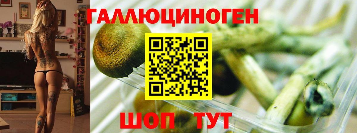 Галлюциногенные грибы мухоморы Гатчина